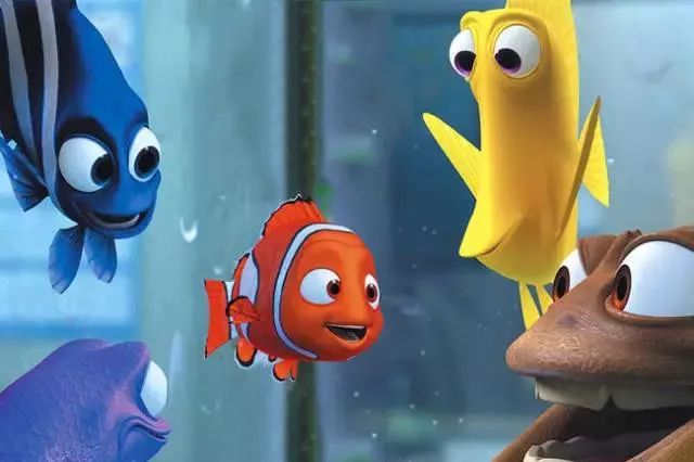 西瓜哥哥讲故事丨《海底总动员(下)》_尼莫