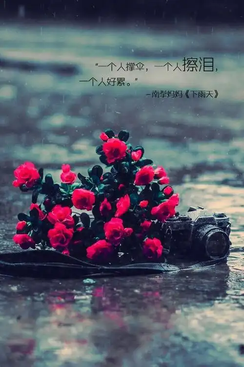 唯美图片伤感个性带字lomo意境美图