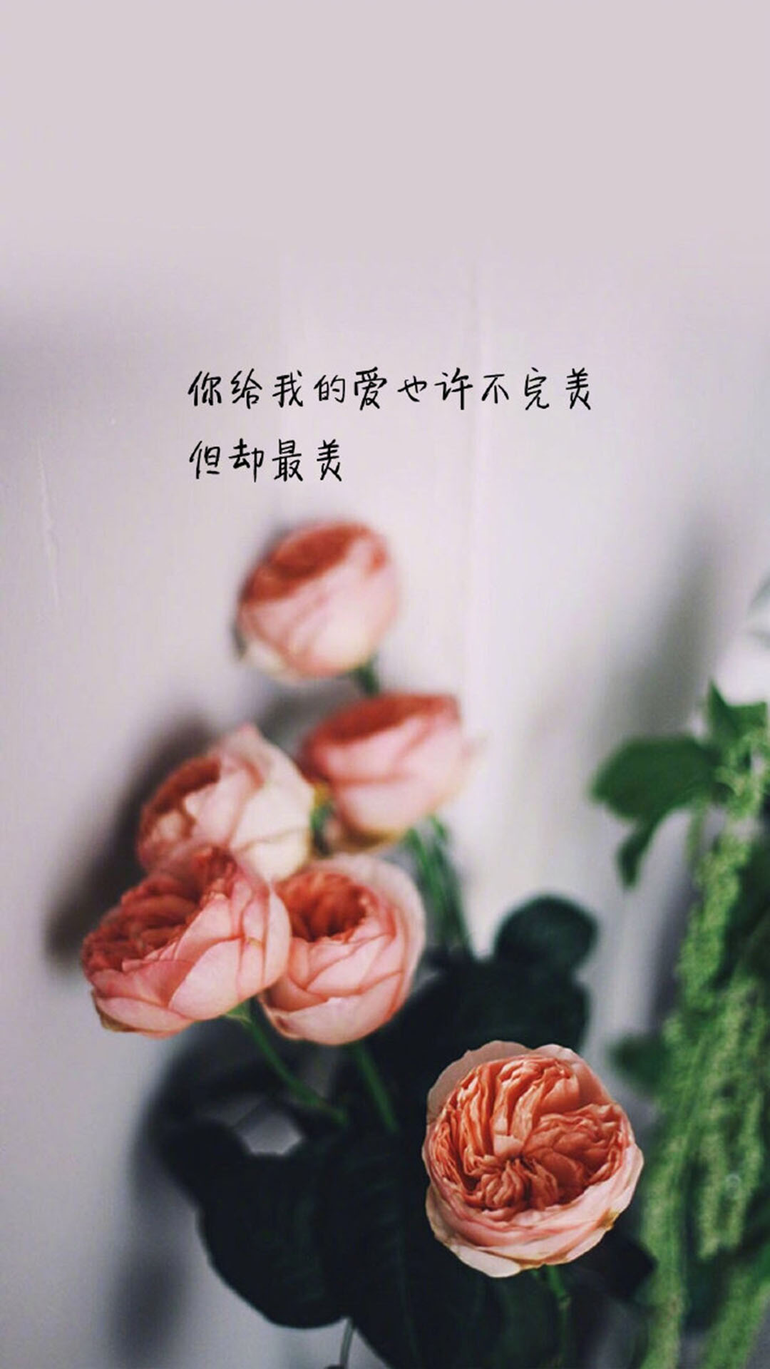 清新文艺范文字图片手机壁纸