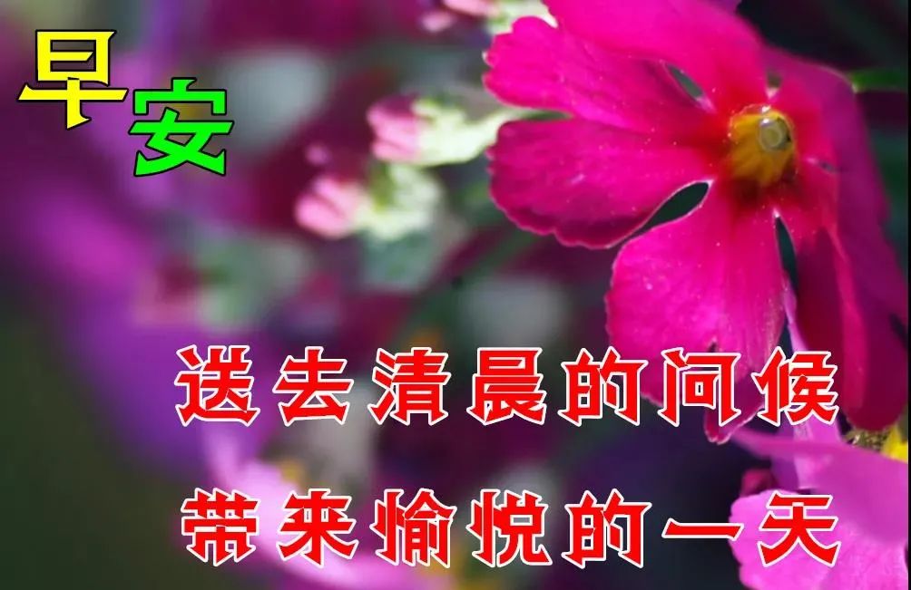 8张最美夏日风景早上好图片带字带祝福语 好看的朋友圈早安问候祝福语