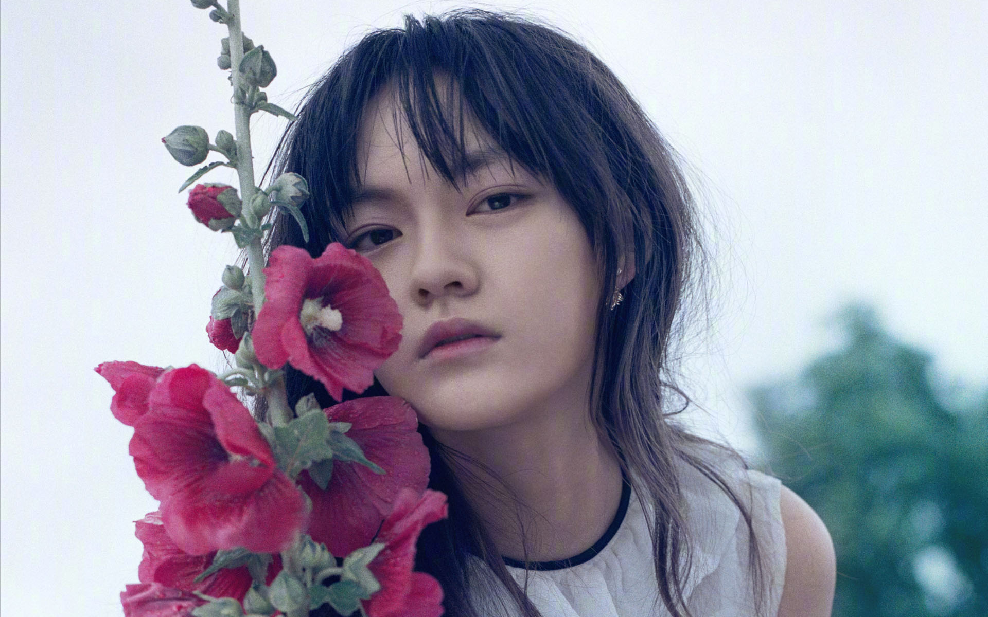 文淇夏日青空唯美高清桌面壁纸