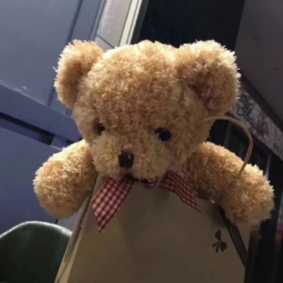 ins小熊头像图片,高清很火的小熊头像图片_可爱头像_美头网