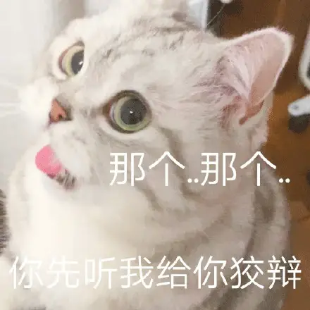 一只超可爱的大眼猫咪表情包合集!