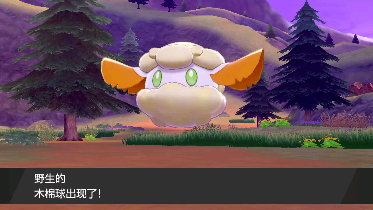偶遇闪光木棉球
