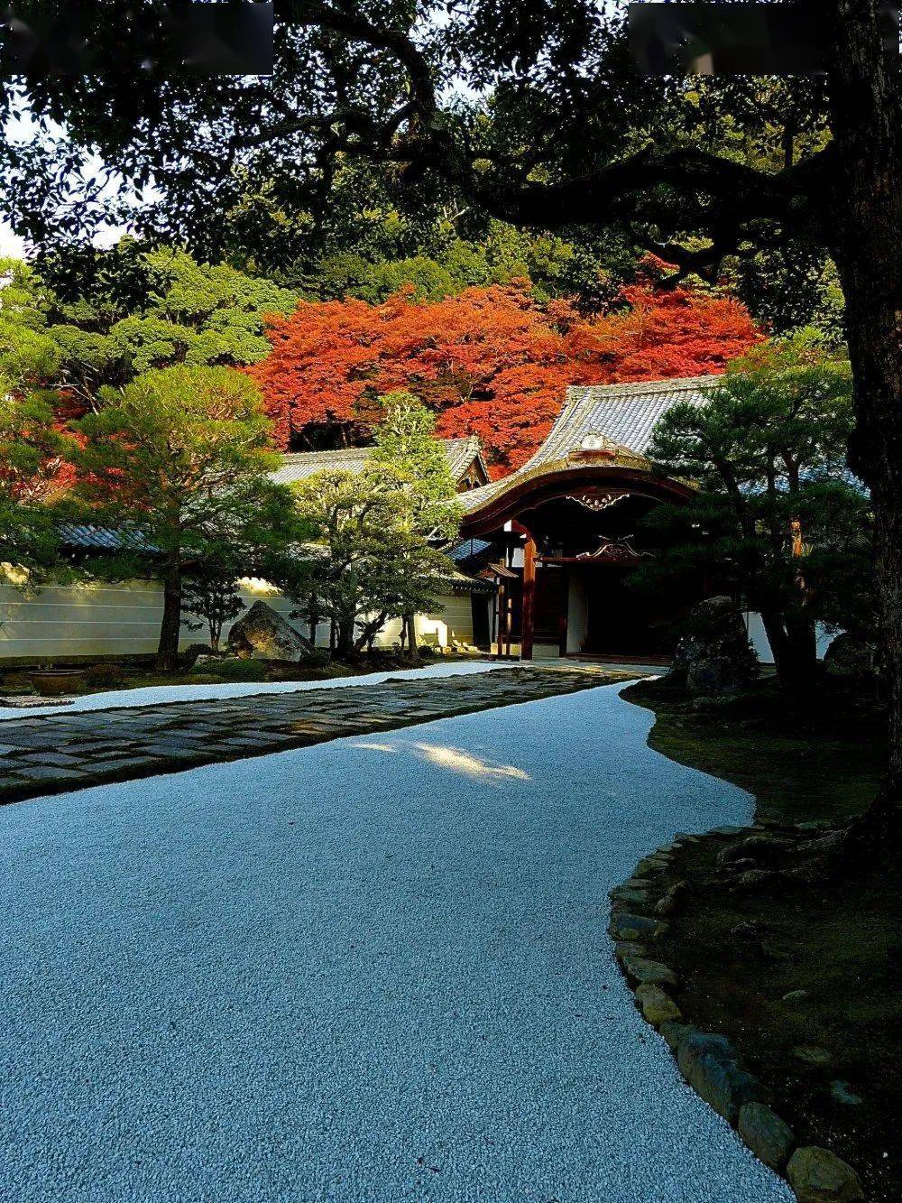 十五座极美日式园林_日本