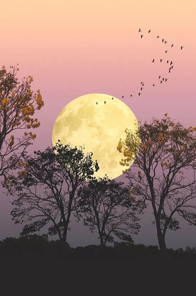 清风明月是最浪漫的事