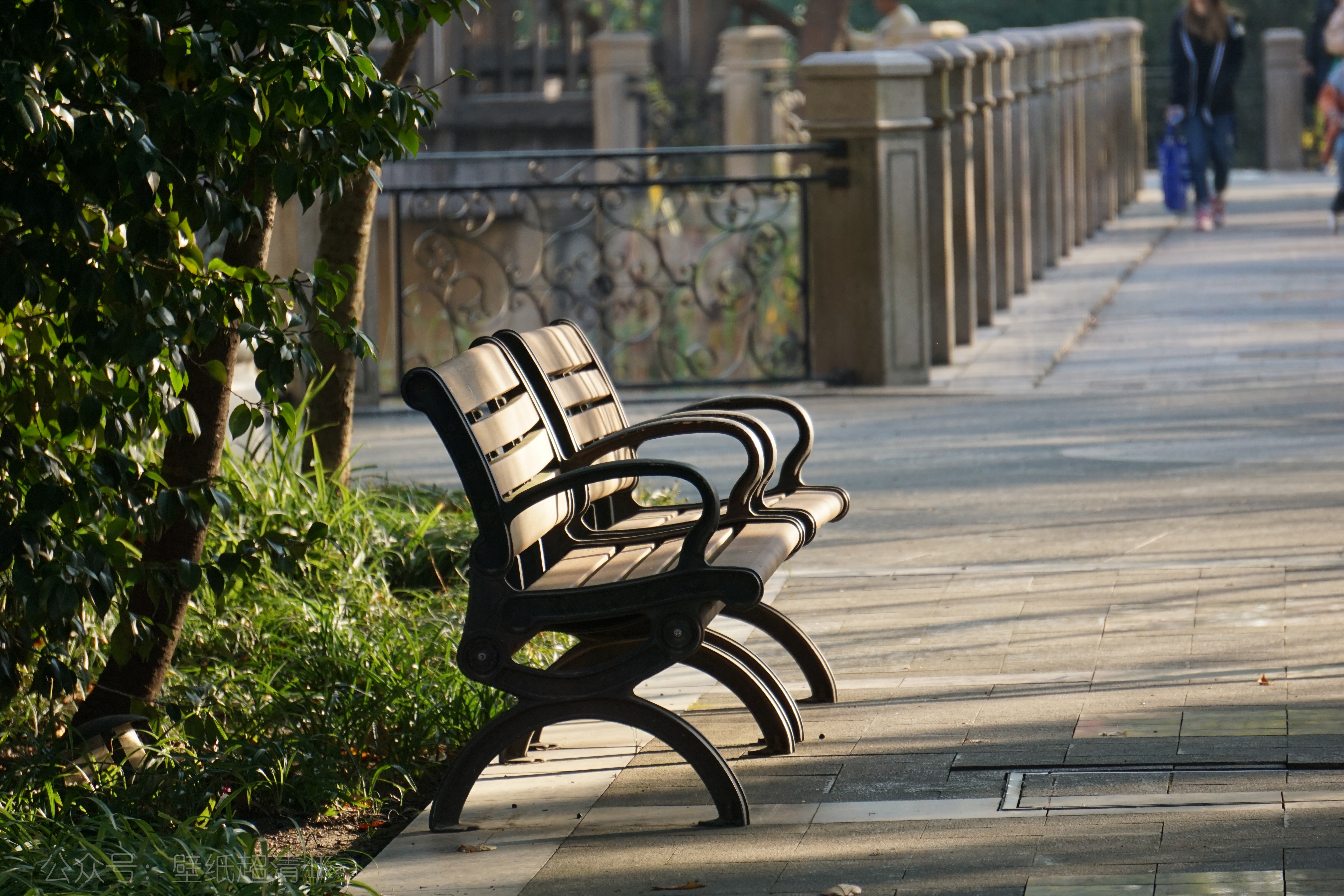 公园里的长凳壁纸