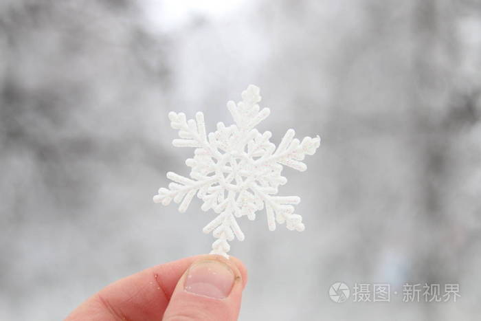 冬天雪的想法手拿着一朵雪花