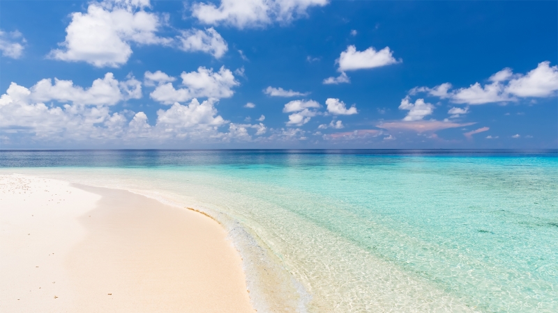 马尔代夫美丽的海滩风景5k高清壁纸800x450