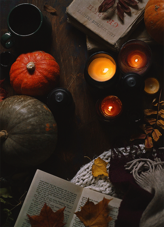 540_750竖版 竖屏gif 动态图 动图