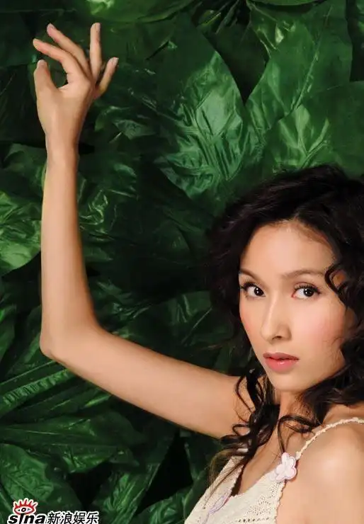 "最美亚姐"杨恭如的坎坷情史:因被富商老婆掌掴退圈,现状如何