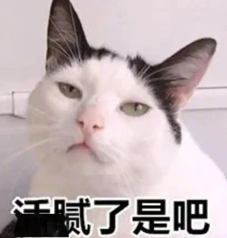 你是不是要攻击我了丨第925期喵表情包_侵权_网络_图片