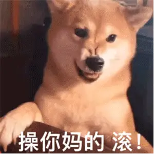 表情包杂集猛狗哭泣