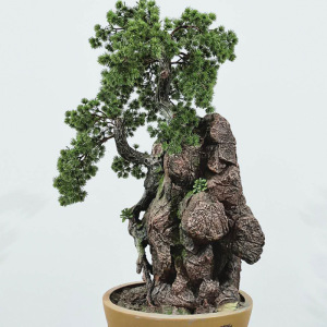 微景观摆件罗汉松树盆栽小型迎客松室内绿色植物塑料松树仿真盆景