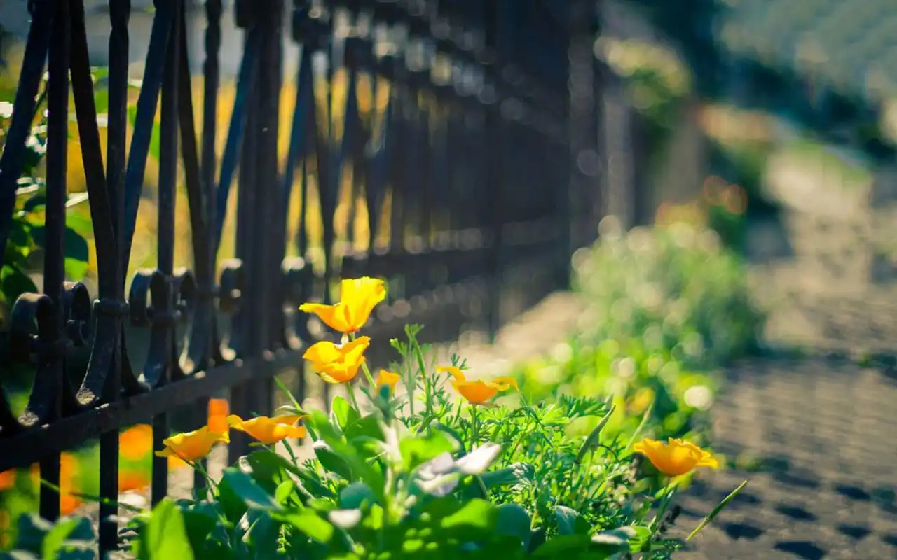 一组治愈系唯美风景图片分享给大家,清新怡人的自然风光使人的心情
