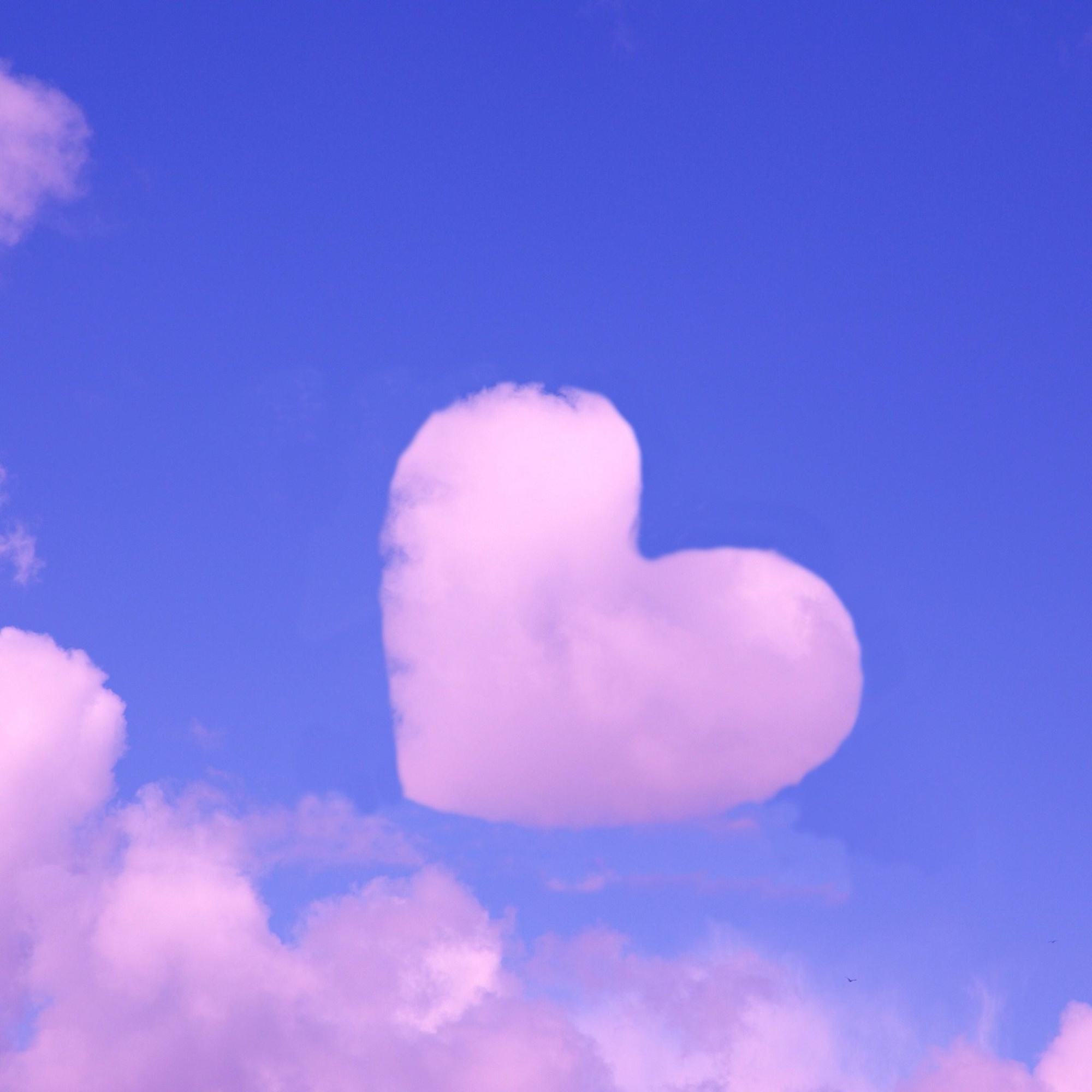 纤云淡霭琴弦渡, 浪漫天空浪漫霞.