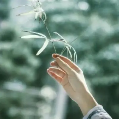 白衣唯美古风女生头像 女生唯美淡雅部位手指古风头像