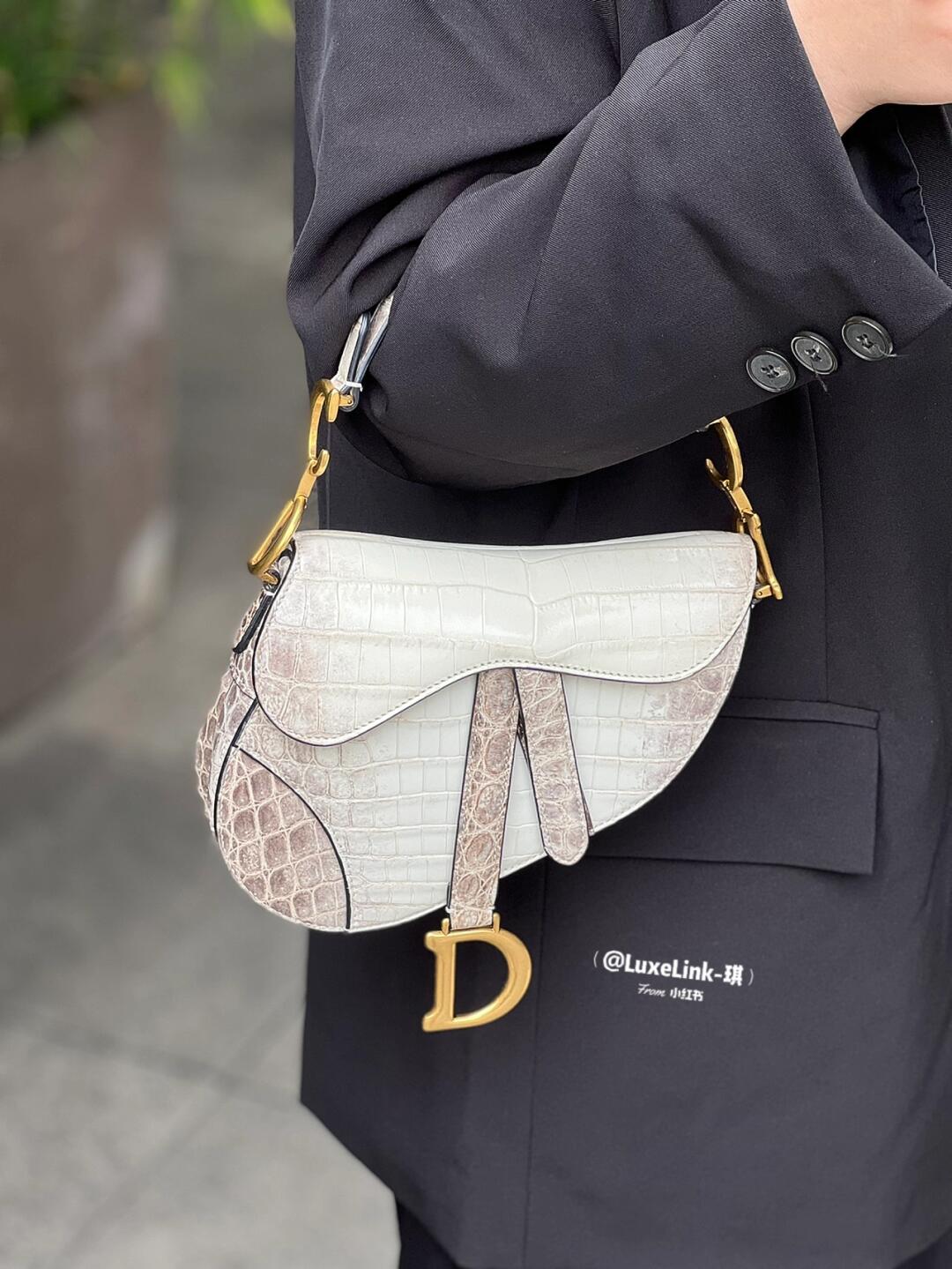 dior喜马拉雅马鞍包