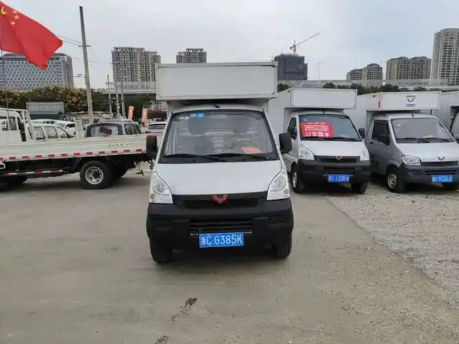 五菱厢式货车图片