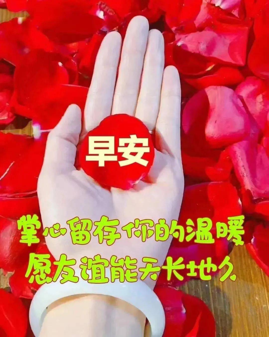 早上好表情包相互牵挂每天祝福你我平安心满意足
