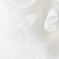 白色头像全白简约女生 很简单的白色背景女生头像_微信头像图片大全