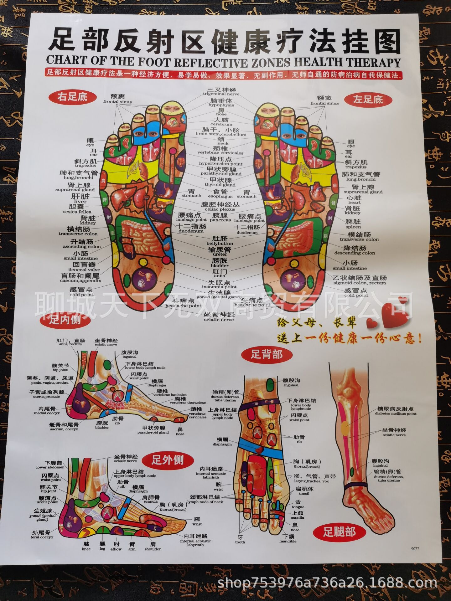 人体足部反射区挂图足底按摩穴位图片足疗足部足底穴位图人体经络