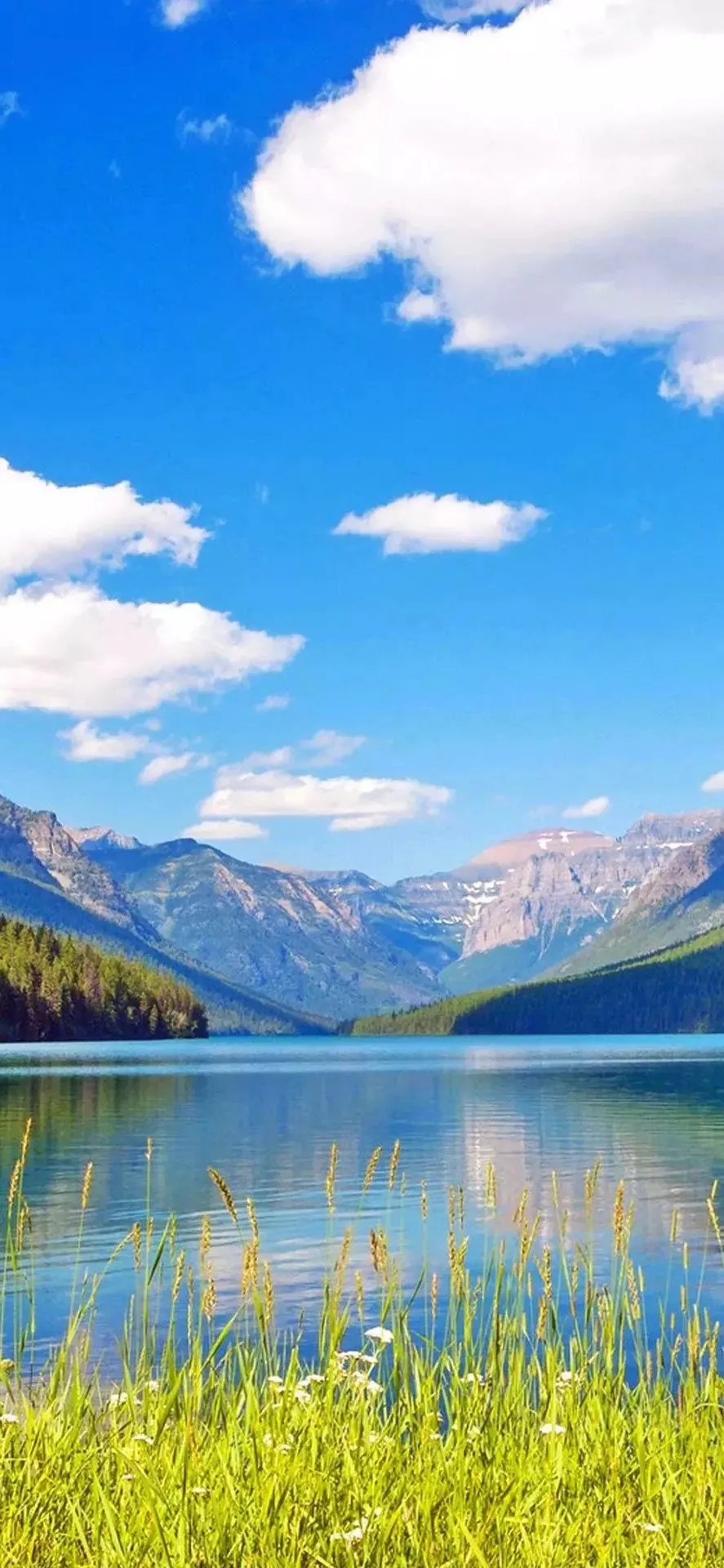 591_1280竖版 竖屏