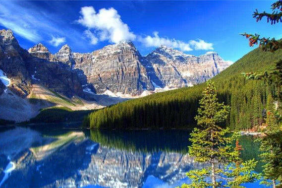 近期接四方财神,迎五重喜事,手头不再缺钱花的生肖_生活_属狗_思考