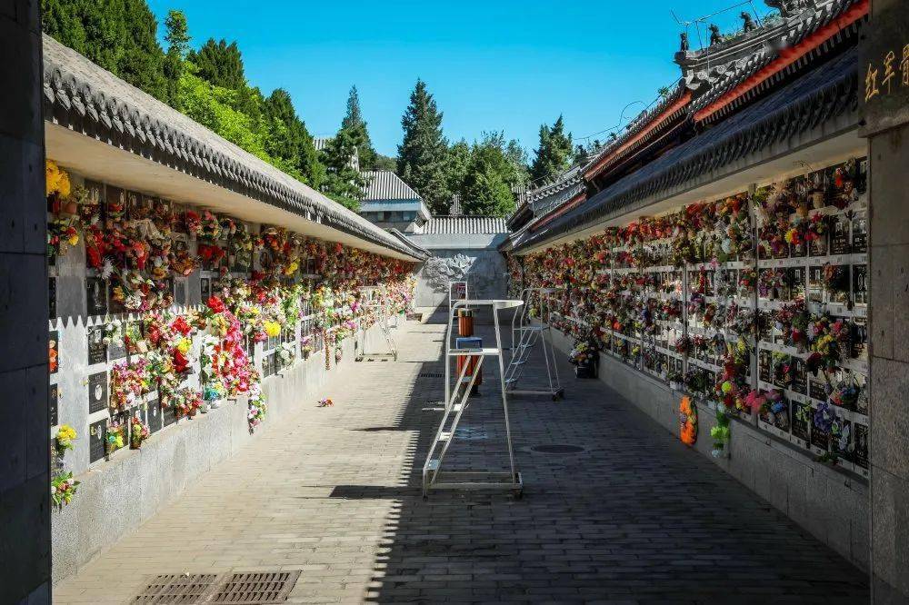 秀show61杰spirits红色之旅带您走进八宝山革命公墓