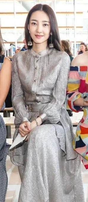 气质美女王丽坤,身穿灰色长裙十分优雅,真的是美若天仙!