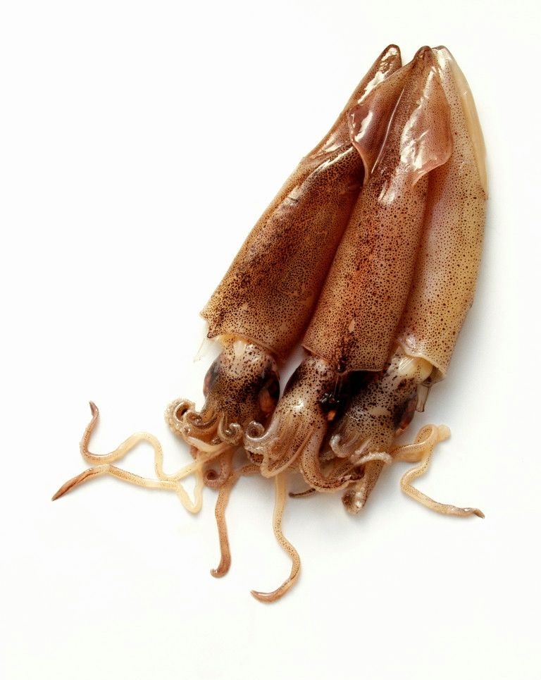 p> a href="#">小岞 /a>鱿鱼干在福建省最负盛名,每年农历四月至八月