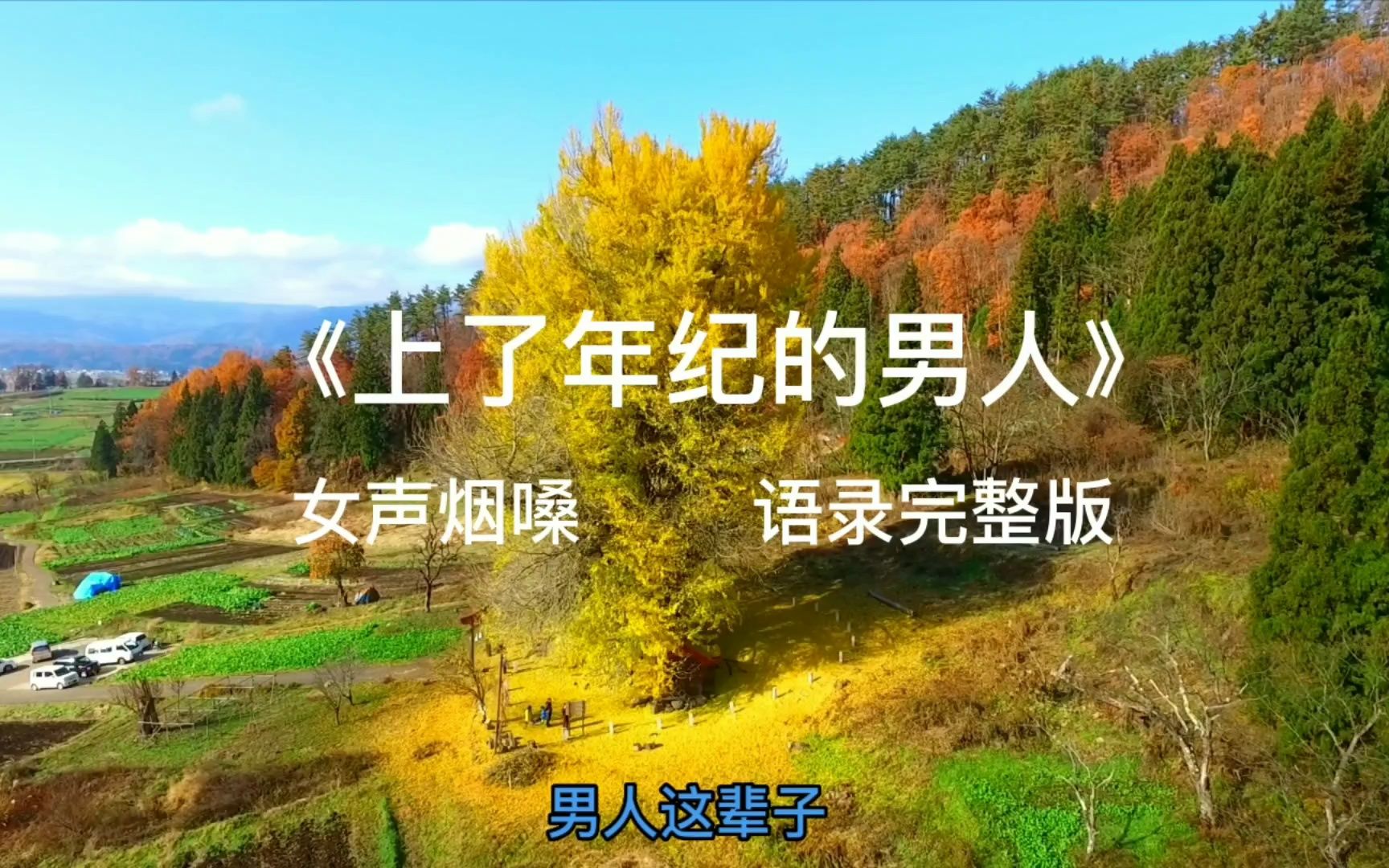 《上了年纪的男人》女生烟嗓版,年少不知父母恩,懂时已是中年人