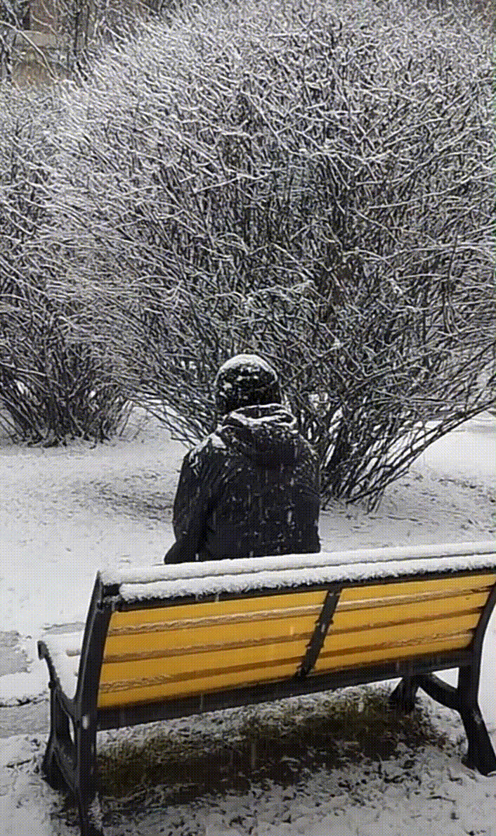 万物俱静,初春的料峭寒意像一把把刀子袭来,老潘踽踽独行在豪宅的花