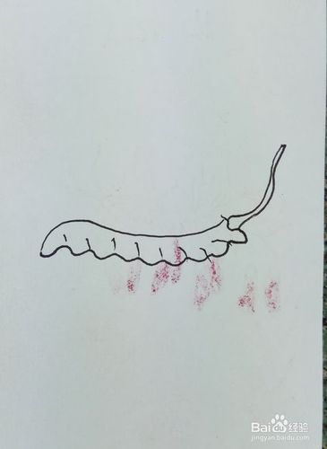 怎样画简笔画冬虫夏草