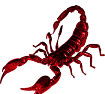 红色蝎子