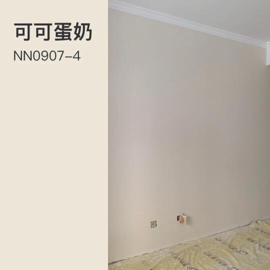 立邦漆色卡奶咖