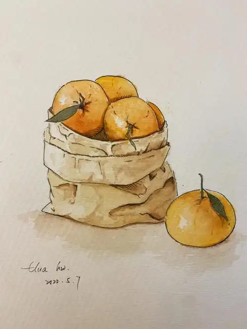 钢笔淡彩  #水彩画  #自学水彩  #色彩静物