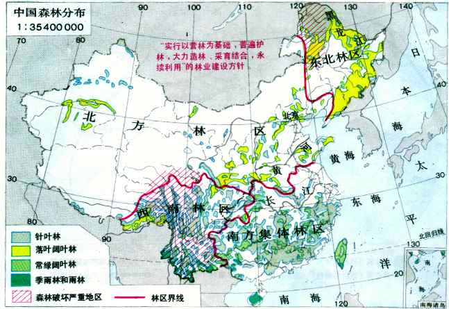 求中国森林分布图