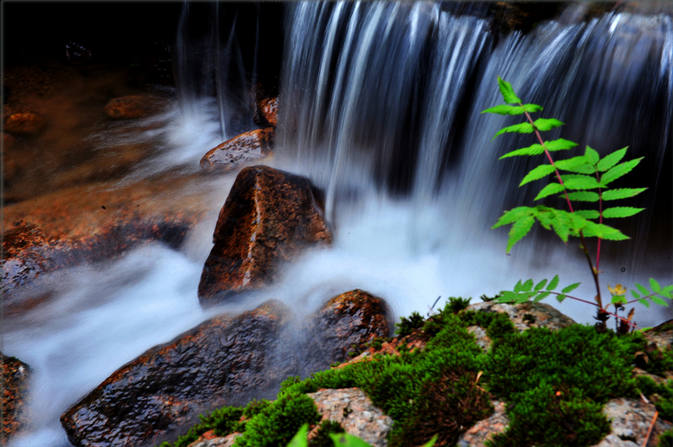 云水禅心美文情感