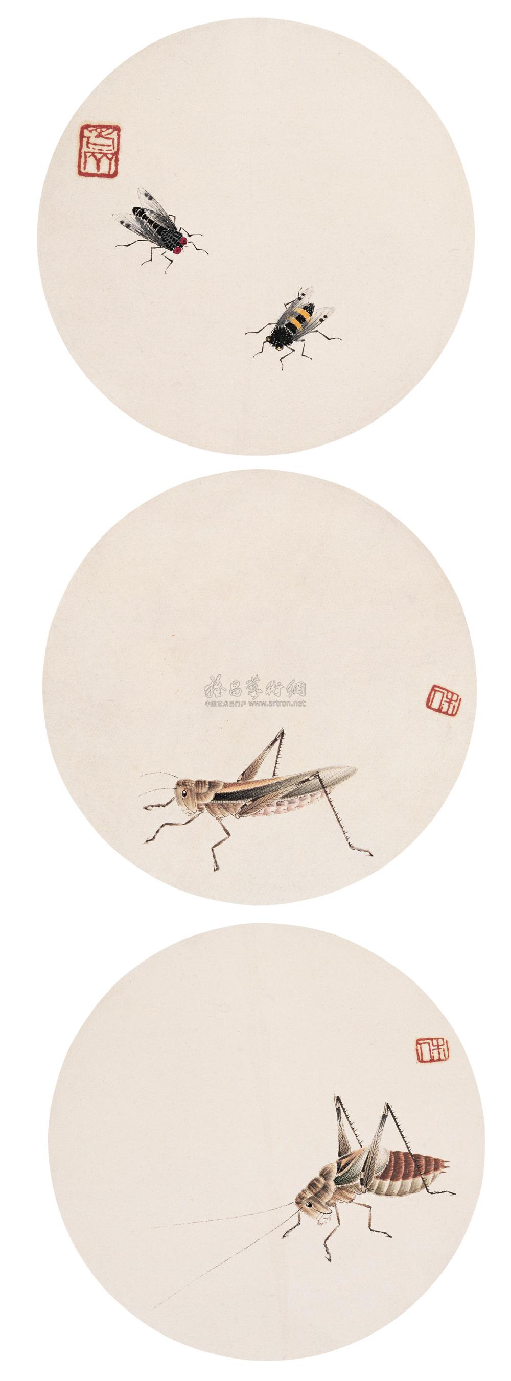 草虫镜心 (三张) 圆光 工笔设色纸本】拍卖品_图片_价格_鉴赏_绘画