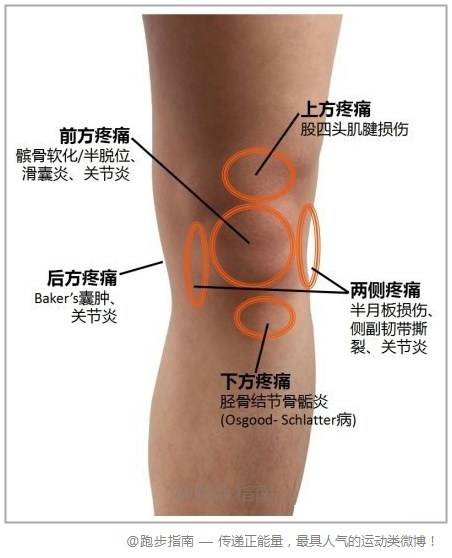 转发微博【转发】@跑步指南:【膝关节疼痛. 来自在路上的87 - 微博