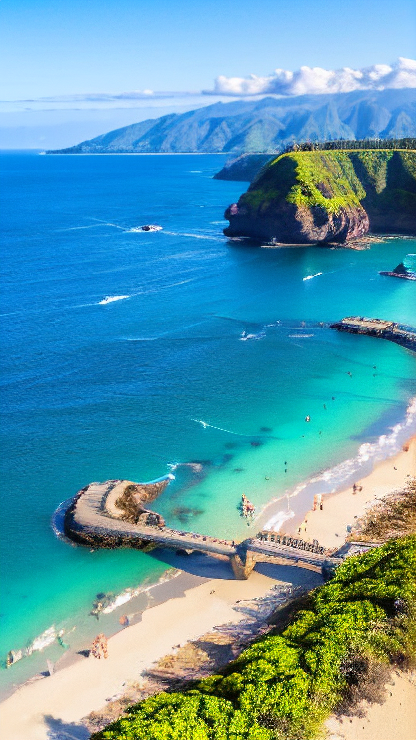 欧美夏威夷海滩壁纸🏖️🌴