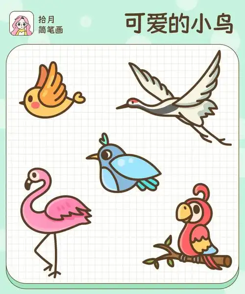 拾月简笔画可爱的小鸟合集