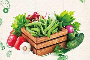 兔什么年出生的年份