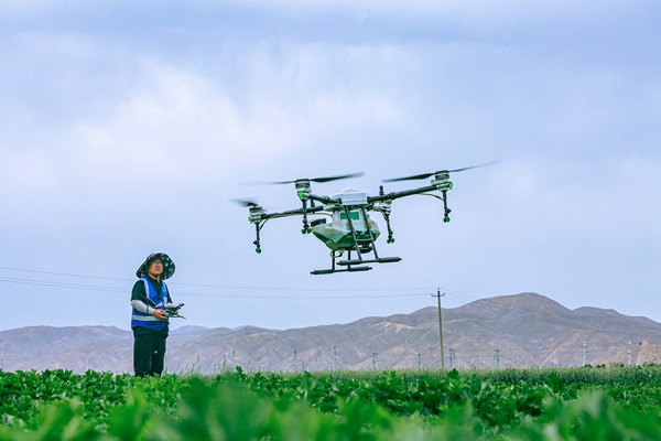 "飞"起来!榆中植保无人机穿梭田间忙农事