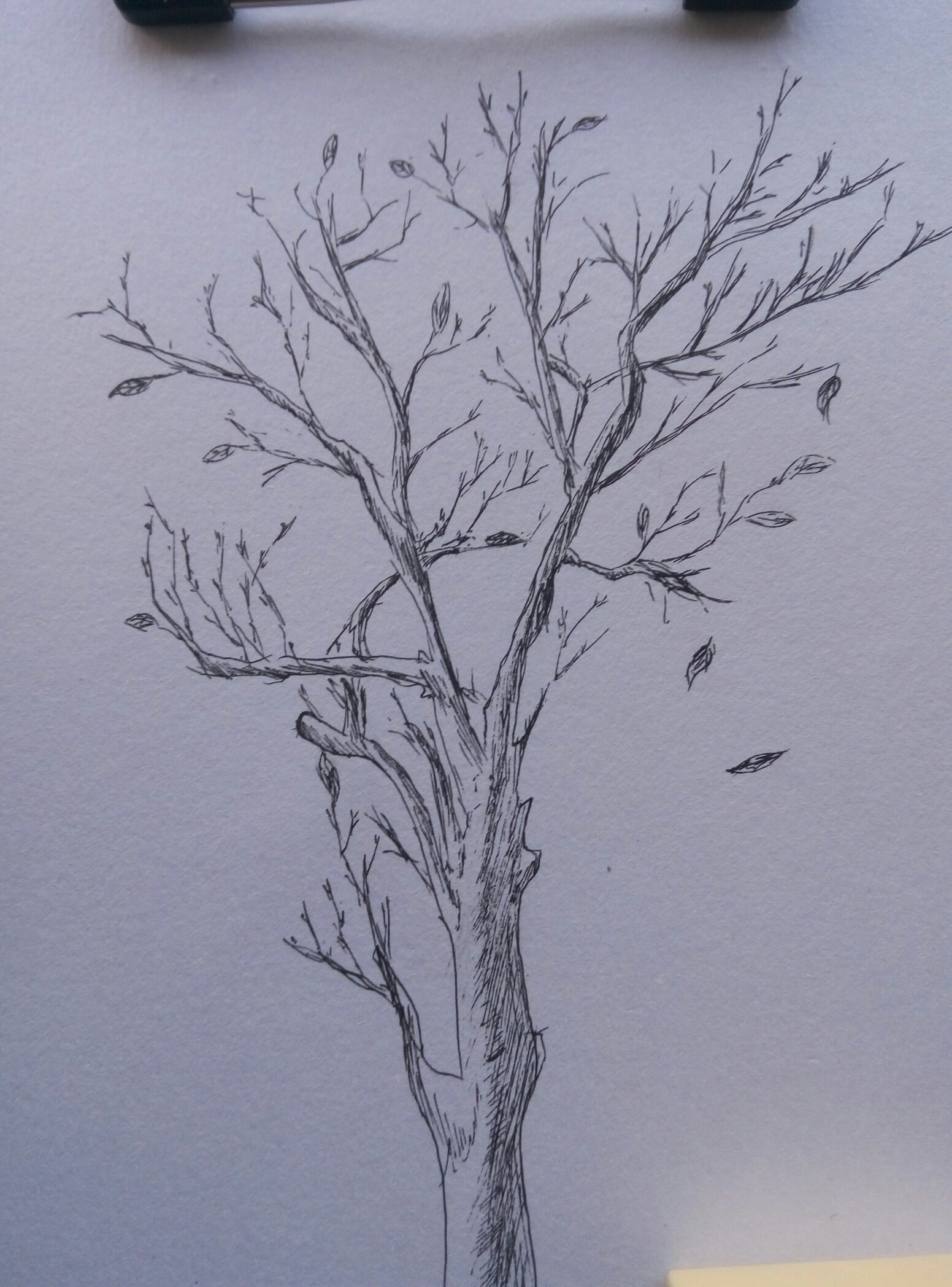 树-堆糖,美好生活研究所