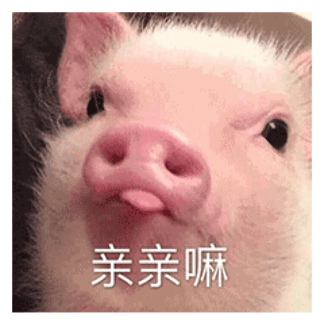 要亲亲,要抱抱,还要举高高?