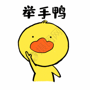 举手鸭可爱小黄鸭表情gif图片素材