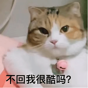 不回我很酷吗猫咪表情包猫咪不回很酷表情