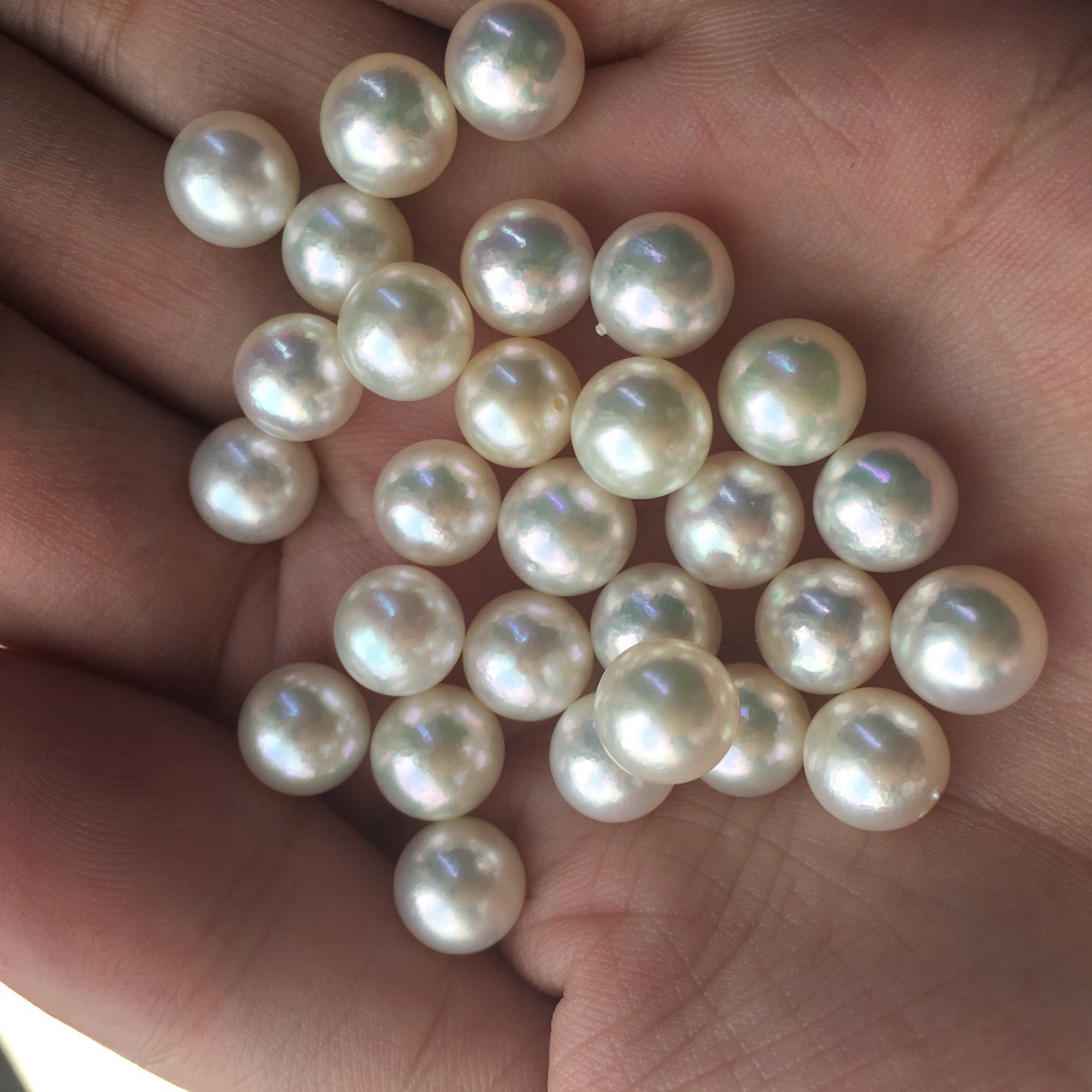 5mmakoya海水日本珍珠 有生长纹 特价库存处理 进出口产品